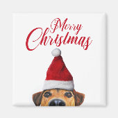 Aimant Curious Cute Funny Dog with Santa Hat (Devant)
