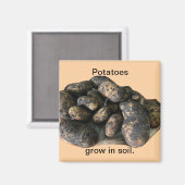 Aimant Custom Potato Magnets, harvested (Recto/Verso)