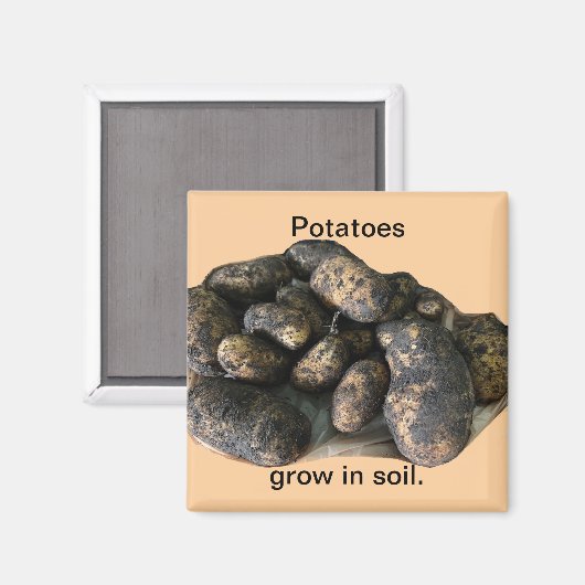 Aimant Custom Potato Magnets, harvested (Recto/Verso)