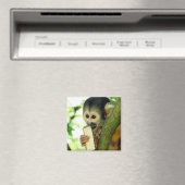Aimant Cute Baby Squerrl Monkey Eating a Wafer Biscuit (In Situ (Lave-vaisselle))
