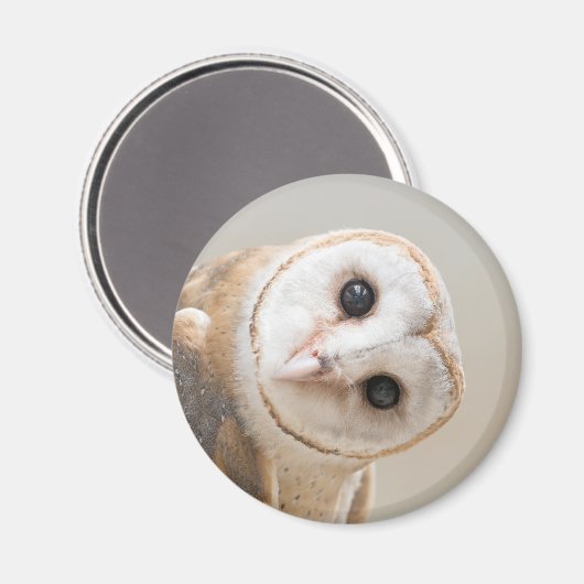 Aimant Cute Barn Owl (Recto/Verso)