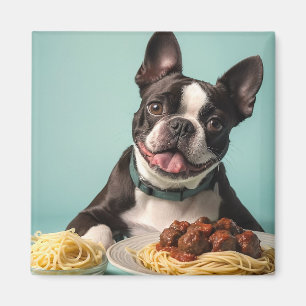 Aimant Cute Boston Terrier Avec Spaghetti Bolognaise