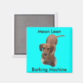 Aimant Cute Brown Dachshund Machine à aboyer (Recto/Verso)