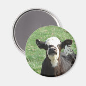 Aimant Cute Calf (Recto/Verso)