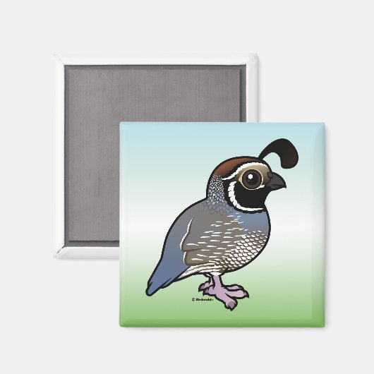 Aimant Cute California Quail (Recto/Verso)