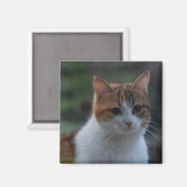 Aimant Cute chat (Recto/Verso)