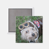 Aimant Cute Chiot dans Aviator Uniform Photographie (Recto/Verso)