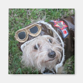Aimant Cute Chiot dans Aviator Uniform Photographie (Devant)