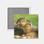 Aimant Cute Chipmunk (Recto/Verso)