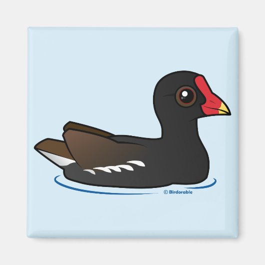 Aimant Cute Gallinule (Devant)