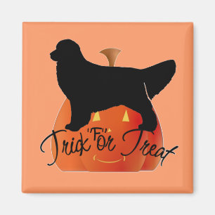 Aimant Cute Halloween Golden Retriever Objets
