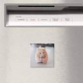Aimant Cute Hamster Aimer Animaux (In Situ (Lave-vaisselle))