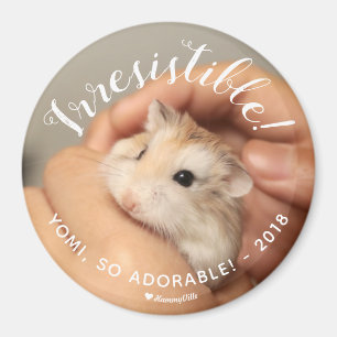Aimant Cute Hamster Irresistible