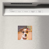 Aimant Cute Jack Russell Terrier (In Situ (Lave-vaisselle))