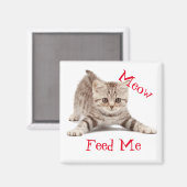Aimant Cute Kitten (Recto/Verso)