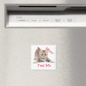 Aimant Cute Kitten (In Situ (Lave-vaisselle))