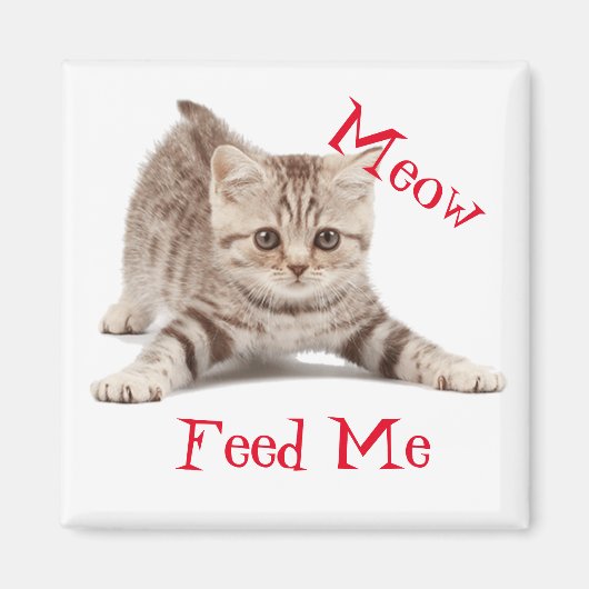 Aimant Cute Kitten (Devant)
