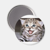 Aimant Cute Kitten (Recto/Verso)