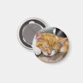 Aimant Cute Kitten (Recto/Verso)