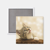 Aimant Cute Kitten avec une paille étirée (Recto/Verso)