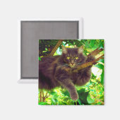 Aimant Cute Kitty Chat (Recto/Verso)