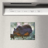 Aimant Cute Little Douglas Squirrel Photo Faune (In Situ (Lave-vaisselle))