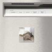 Aimant Cute Little Kitten (In Situ (Lave-vaisselle))