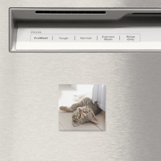 Aimant Cute Little Kitten (In Situ (Lave-vaisselle))