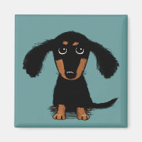 Cute LonghEI noir et tan Dachshund Chien chiot