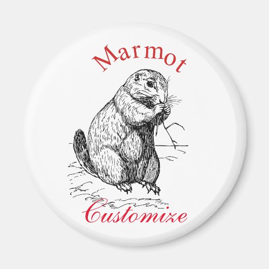 Aimant Cute Marmot Animal Thunder_Cove (Devant)