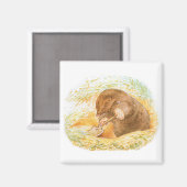 Aimant Cute Mole (Animal Art for Kids) (Beatrix Potter) (Recto/Verso)