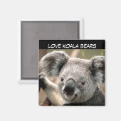 Aimant Cute Ours Koala (Recto/Verso)