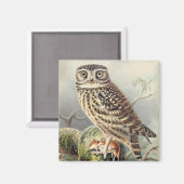 Aimant Cute Owl (Recto/Verso)