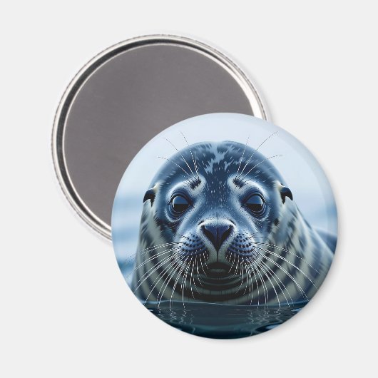 Aimant Cute Seal Close up (Recto/Verso)