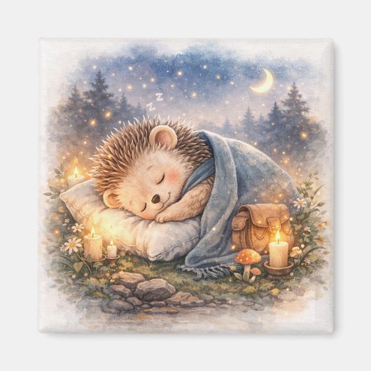 Aimant Cute Sleeping Hedgehog Fridge (Devant)