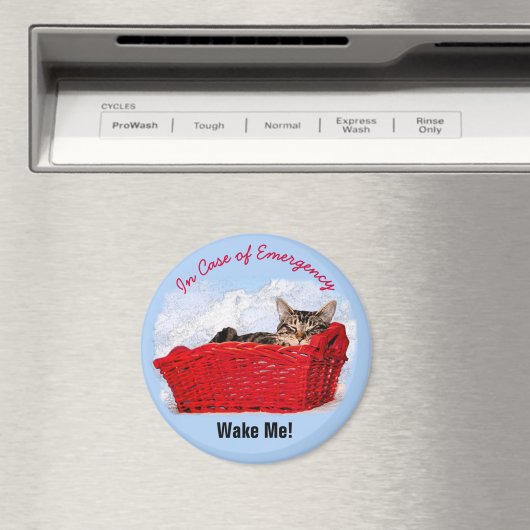 Aimant Cute Sleeping Kitts Dans Panier Rouge Photo person (In Situ (Lave-vaisselle))