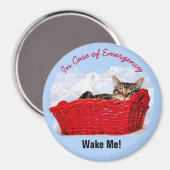 Aimant Cute Sleeping Kitts Dans Panier Rouge Photo person (Recto/Verso)