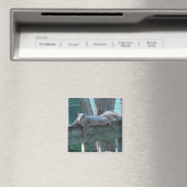 Aimant Cute Squirrel Photo Cuisine (In Situ (Lave-vaisselle))