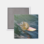 Aimant Cute Surfing Chipmunk (Recto/Verso)