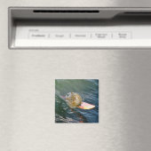 Aimant Cute Surfing Chipmunk (In Situ (Lave-vaisselle))