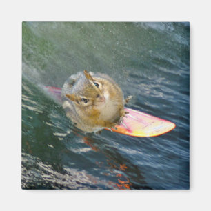 Aimant Cute Surfing Chipmunk