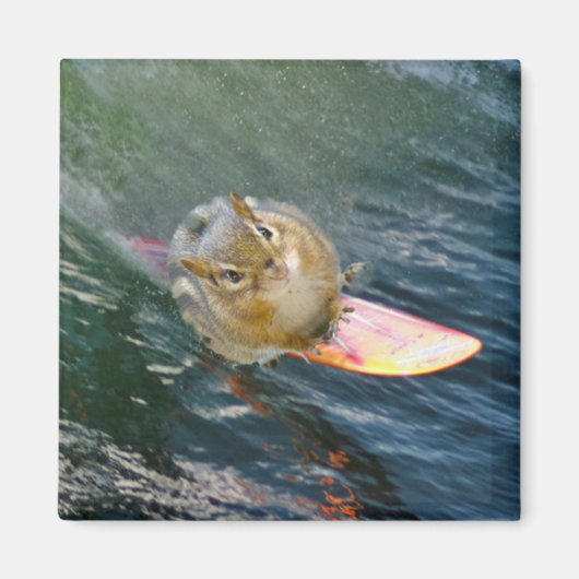 Aimant Cute Surfing Chipmunk (Devant)