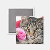 Aimant Cute Tabby Chat Avec Rose (Recto/Verso)