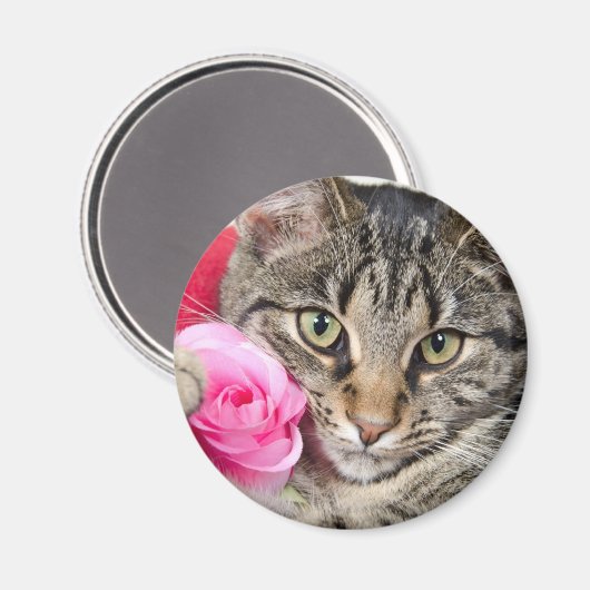 Aimant Cute Tabby Chat Avec Rose (Recto/Verso)