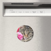 Aimant Cute Tabby Chat Avec Rose (In Situ (Lave-vaisselle))