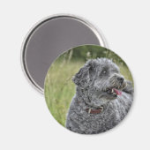 Aimant Cute Terrier Chien (Recto/Verso)