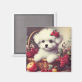 Aimant Cute Vintage Bichon Frisé Peinture (Recto/Verso)