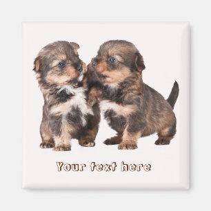 Aimant Cute Yorkshire
