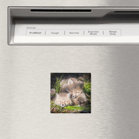 Aimant Cutest Baby Animals | Baby Red Fox Kits Sleeping (In Situ (Lave-vaisselle))