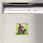 Aimant Cutest Baby Animals | Brown Bear Cub Wave (In Situ (Lave-vaisselle))
